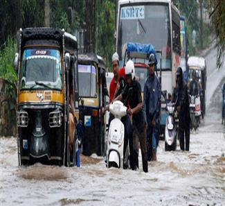 Photo of केरल में बाढ़ के बाद फैले रैट फीवर से तीन दिन में 12 मौते