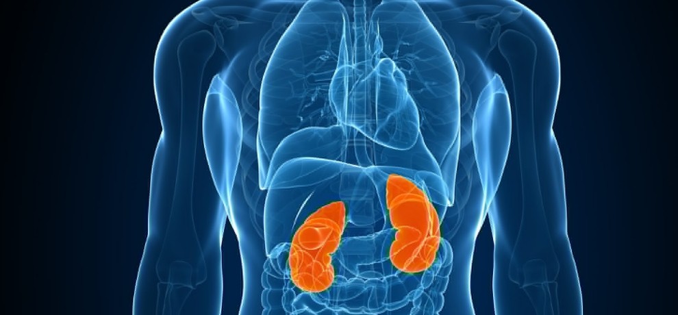 Photo of सरकार अंगदान के लिए संबंधियों की परिभाषा में करेगी बदलाव