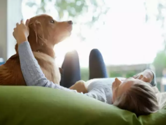 Photo of जानवरों से सेक्स करने पर कई देशों में कानूनन छूट ?