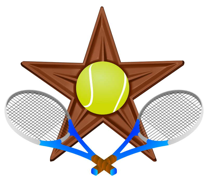 Photo of रोहन बोपन्ना की जोड़ी क्वार्टर फाइनल में पहुंची