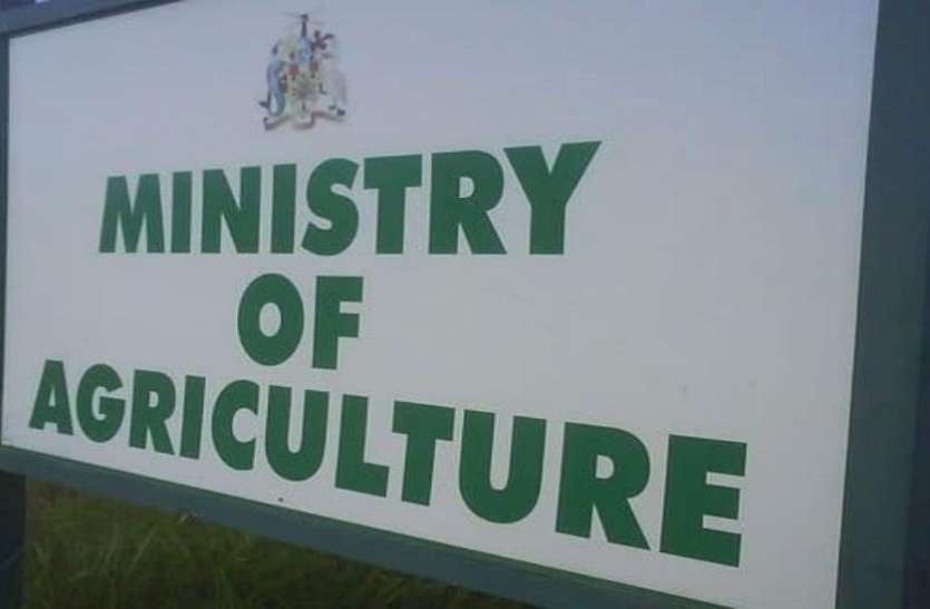 Photo of पांच राज्यों को दलहन और तिलहन की सरकारी खरीद की मंजूरी