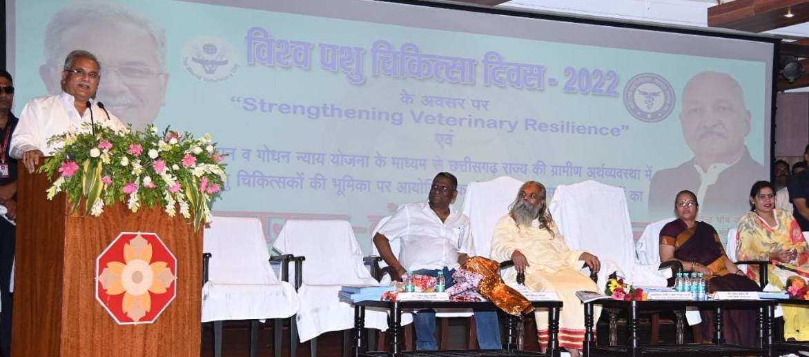 Photo of ग्रामीण अर्थव्यवस्था की मजबूती के लिए पशुधन का विकास आवश्यक-भूपेश