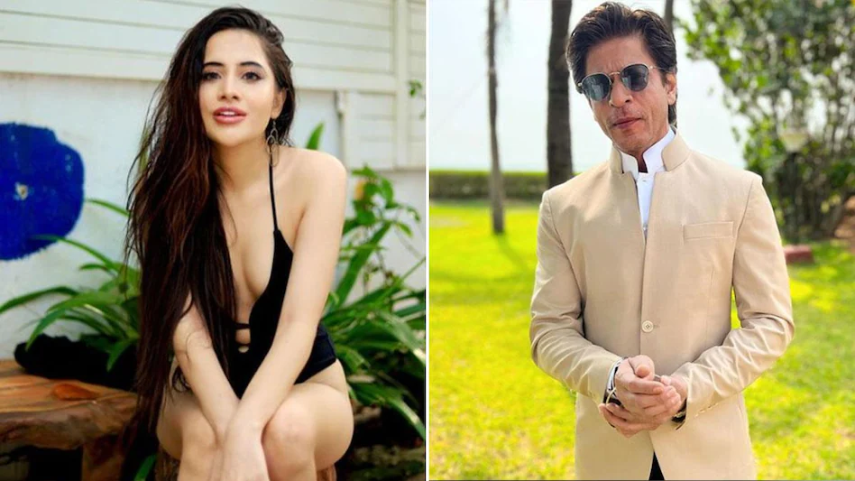 Photo of उर्फी जावेद ने शाहरुख खान को लेकर सोशल मीडिया पर जाहिर की अपनी दीवानगी…