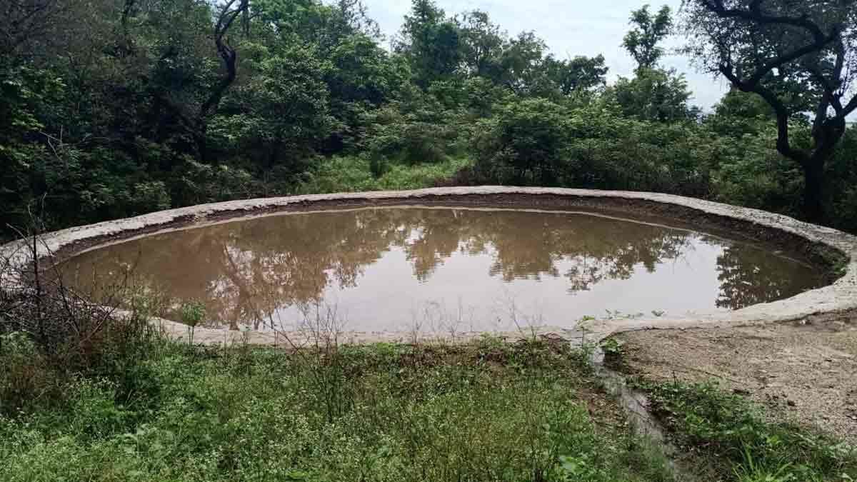 Photo of उत्‍तराखंड में धरातल पर जल संरक्षण के दिखें काम, पढ़े पूरी खबर