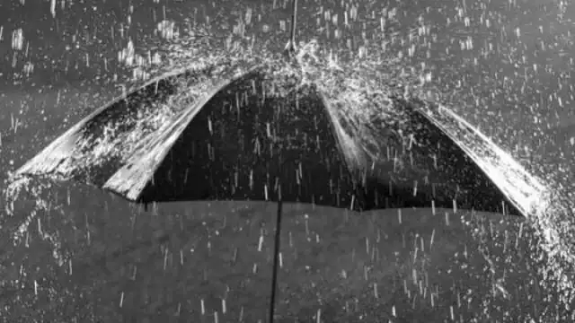 Photo of बारिश को लेकर यूपी, बिहार और दिल्ली में जारी हुआ अलर्ट, जानें बाकी राज्यों का हाल…