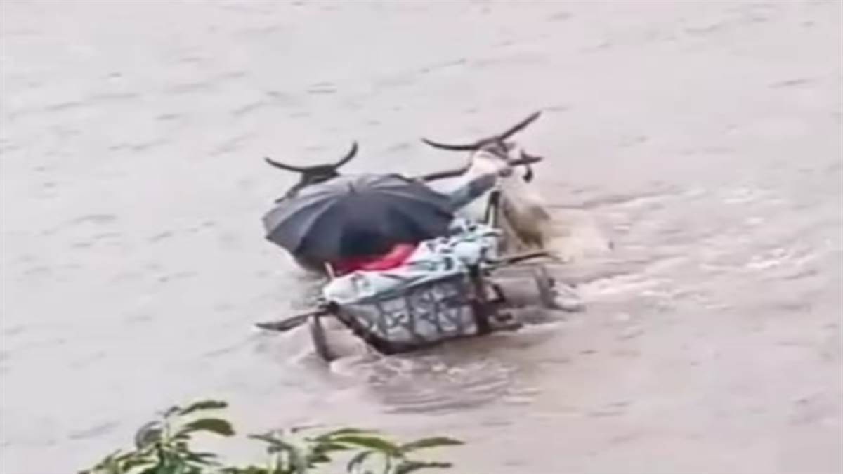 Photo of उल्टी-दस्त से पीड़ित महिला को परिजनों ने बैलगाड़ी के सहारे पार कराई नदी..