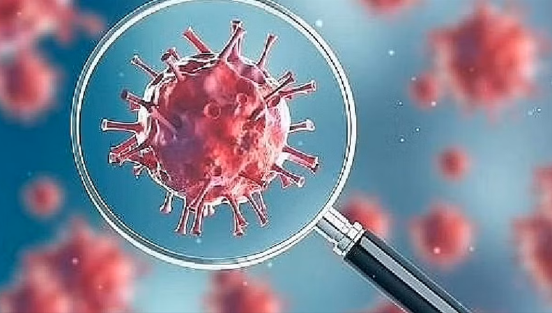 Photo of पिछले 24 घंटे में देश में आए कोरोना के 16167 नए केस