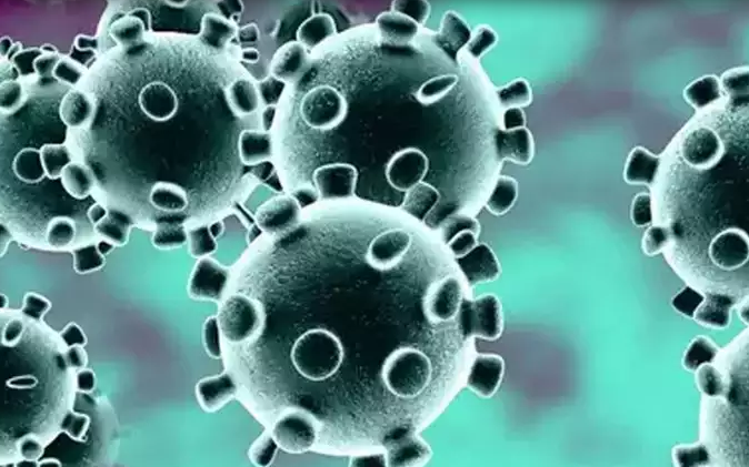 Photo of पिछले 24 घंटे में देश में आए कोरोना के 7,135 नए मामले