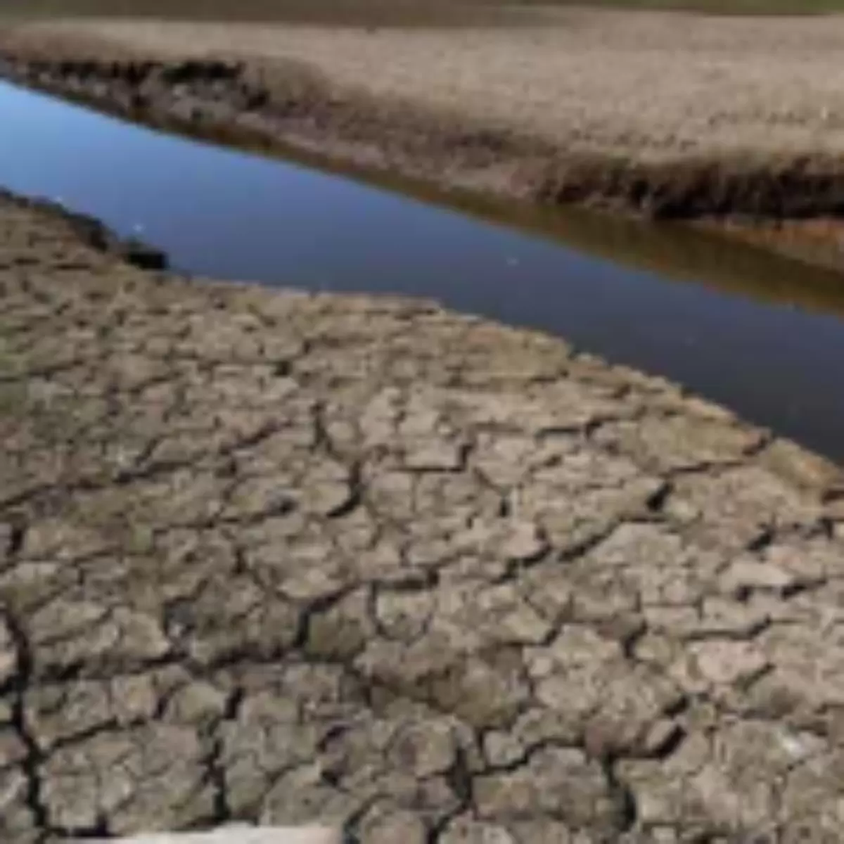 Photo of इंग्लैंड के कई हिस्से सूखे और भीषण गर्मी का कर रहे  सामना