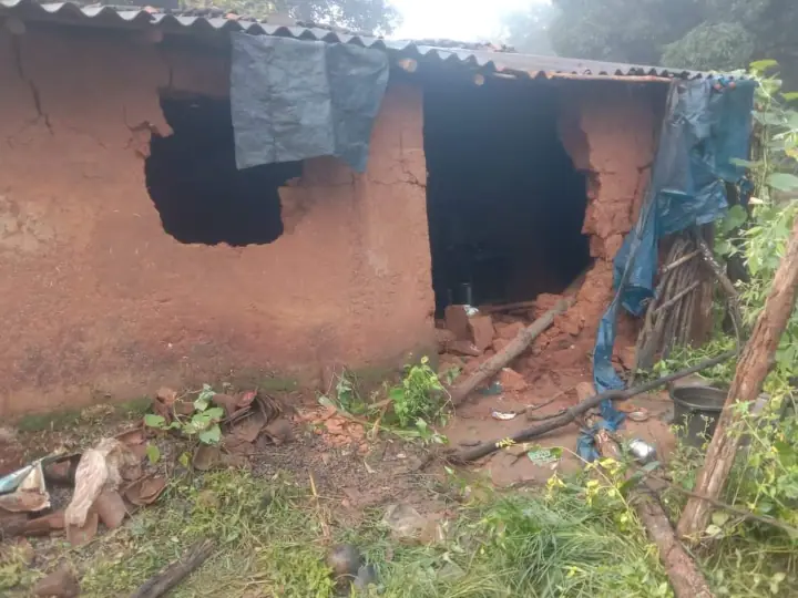 Photo of छत्तीसगढ़:11 हाथियों ने मचाया आंतक, फसलों और घरों को किया तबाह