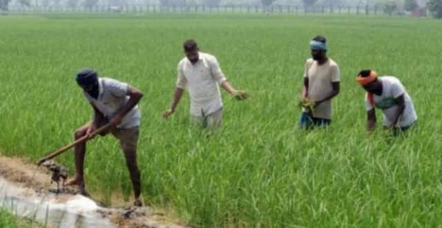 Photo of यहाँ जानिए कब जारी होगी पीएम किसान सम्मान निधि की 12वीं किस्त