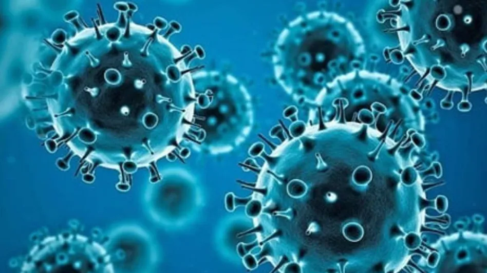 Photo of पिछले 24 घंटे में देश में आए कोरोना के 2800 नए केस