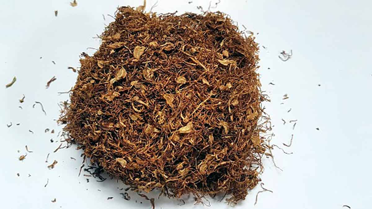 Photo of तंबाकू खाने वालों एक बार जरुर पढ़ ले ये खास खबर, वरना…