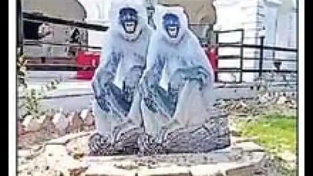 Photo of कानपुर में बेहद बढ़ता जा रहा बंदरों का आंतक, पुलिस प्रशासन भी है परेशान