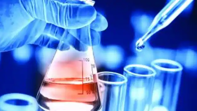 Photo of अगर आप भी कमाई करने का कोई ऑप्शन देख रहे हैं तो घर की खाली पड़ी छत से करें लाखों की कमाई..  