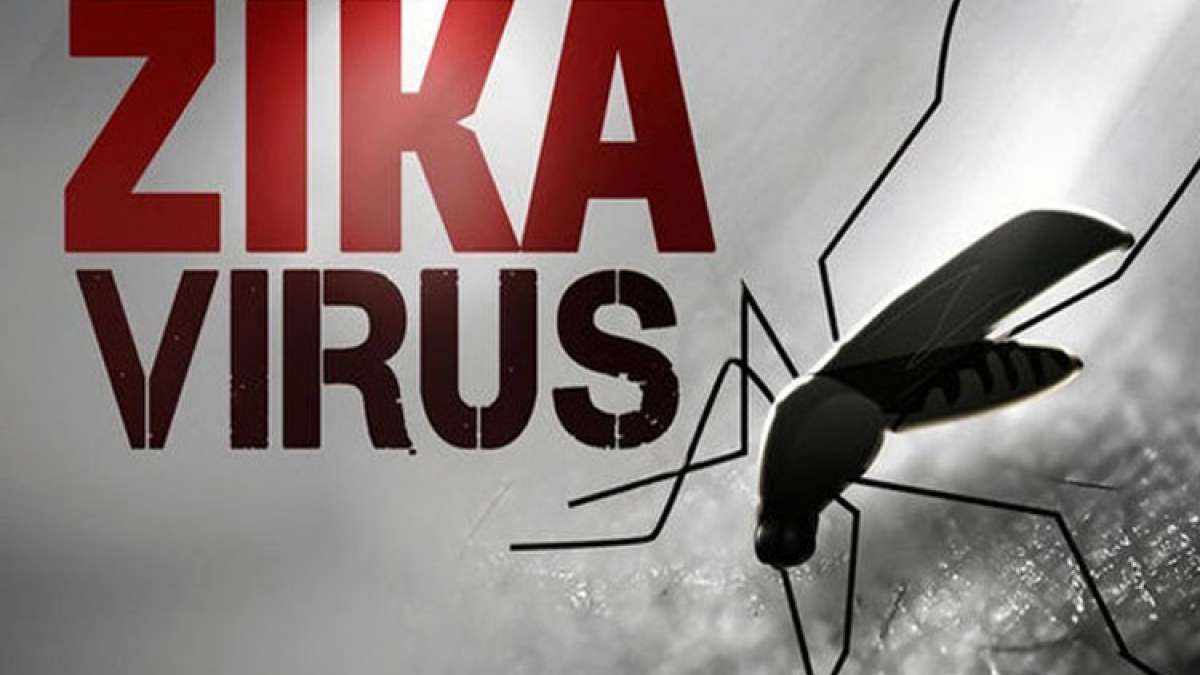 Photo of कर्नाटक में मिला पहला जीका वायरस केस, पांच साल की बच्ची हुई संक्रमित
