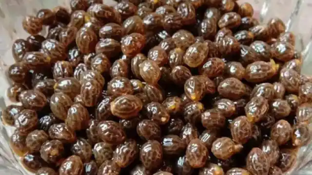 Photo of सिर्फ सेहत के लिए ही नहीं बल्कि स्किन के लिए भी फायदेमंद है पपीते के बीज..