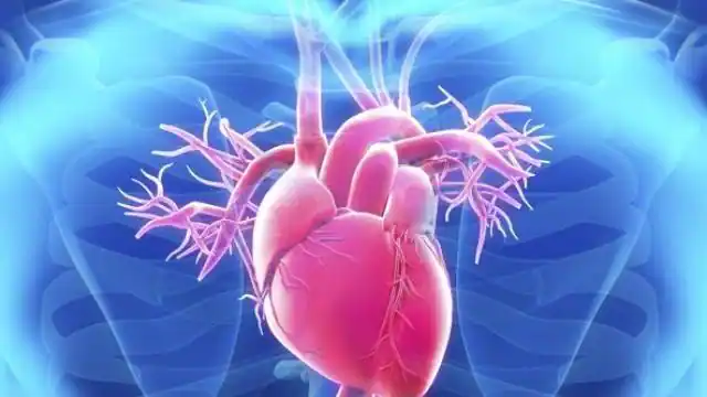 Photo of देश में हो रही हर चौथी मौत के लिए कोरोनरी आर्टरी डिजीज जिम्मेदार, पढ़े पूरी खबर…