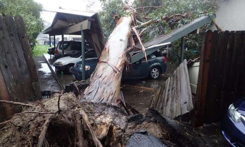 Photo of कैलिफोर्निया में तूफान की वजह से दो लोगों की मौत..