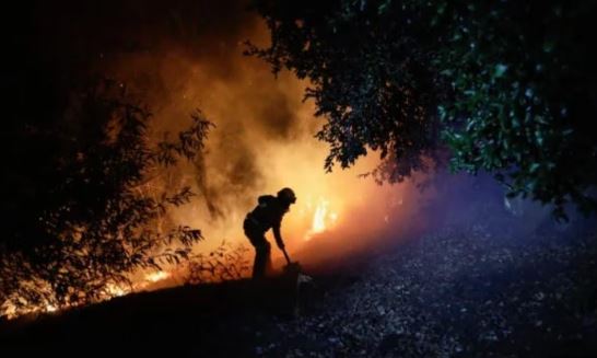 Photo of साउथ अमेरिका के देश चिली के जंगलों में भीषण आग लगने से 13 लोगों की मौत..