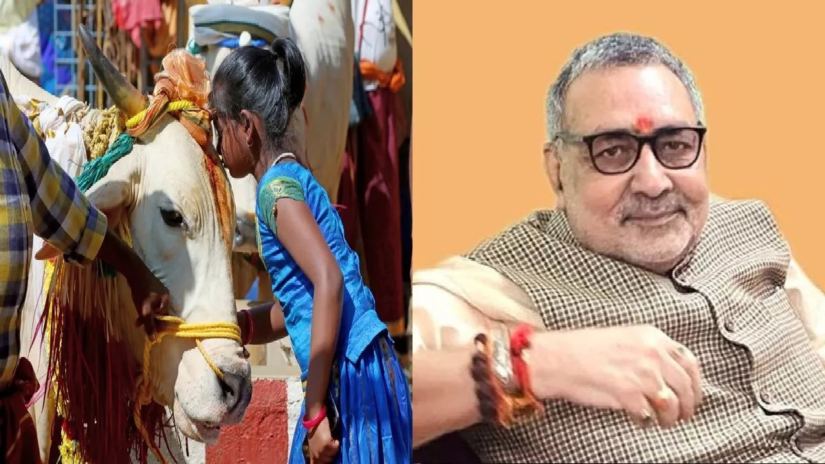 Photo of 14 फरवरी को ‘काउ हग डे’ का फैसला काफी अच्छा है: गिरिराज सिंह