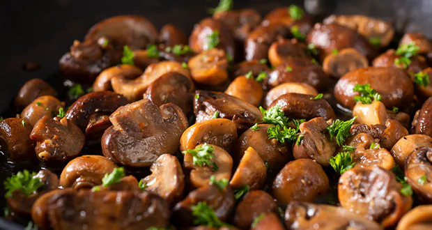 Photo of नाश्ते में ट्राई करें मशरूम फ्राई की ये टेस्टी रेसिपी, जानें रेसिपी