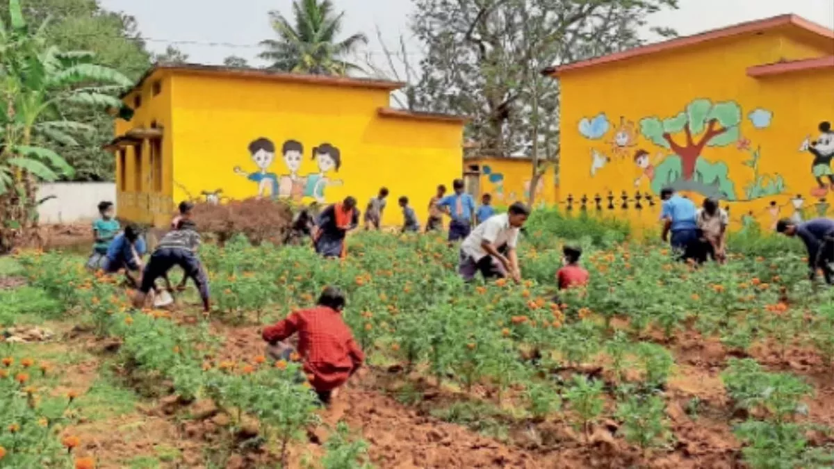 Photo of पैक्सों के गठन के लिए नई नियमावाली बनाई गई है जिसे अभी तक 17 राज्यों ने स्वीकार कर लिया…