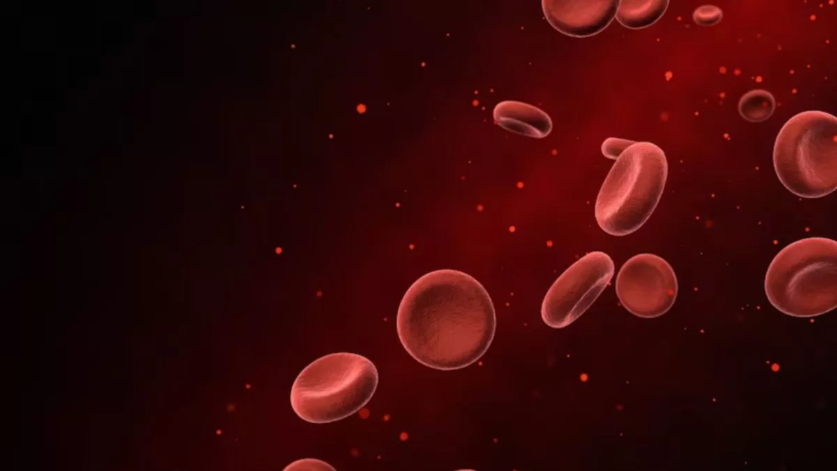 Photo of अगर आप भी एनीमिया से बचाव चाहते हैं तो डाइट में इन चीजों को करें शामिल-