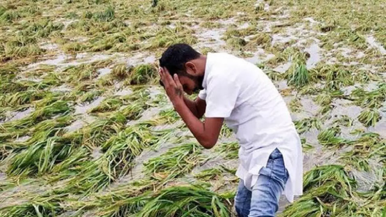 Photo of देश के कई ह‍िस्‍सों में बेमौसम बार‍िश और मानसून की अनिश्चितता की आशंका के कारण सूखे का खतरा…