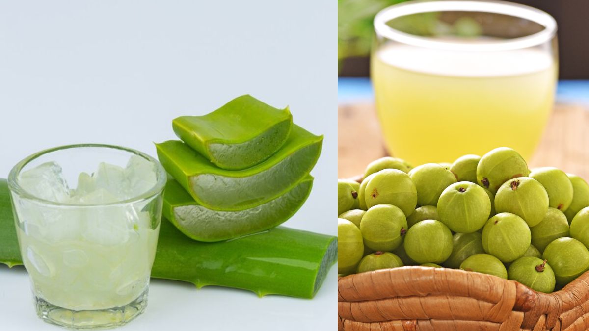 Photo of वजन कम करने के लिए एलोवेरा और आंवला जूस का सेवन बहुत फायदेमंद है, जानें तरीका-