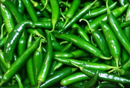 Photo of चलिए जानते हैं हरी मिर्च के कुछ हैरान करने वाले फायदे के बारे में..