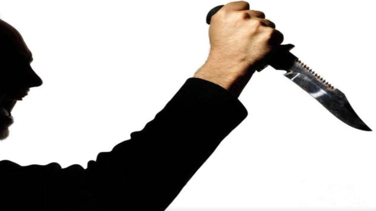 Photo of दिल्ली में मोहम्मद जैद नाम के एक शख्स ने 20 वर्षीय युवक पर चाकू से किया हमला