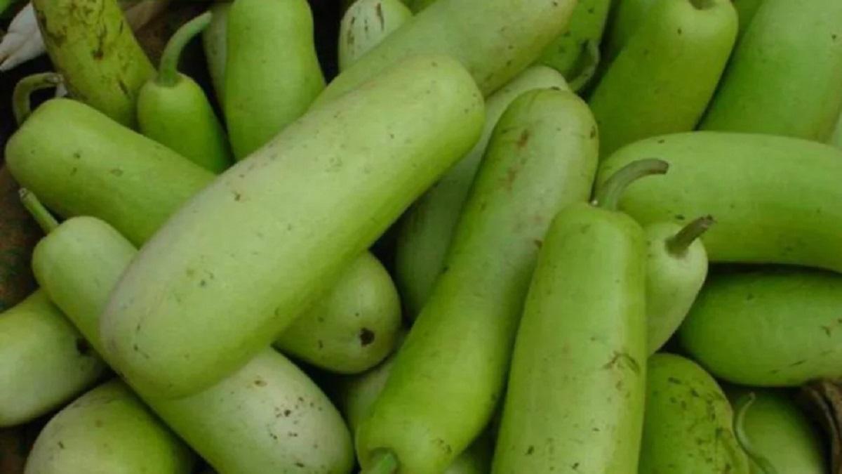 Photo of जानिए लौकी खाने के ये हैं शानदार फायदे..