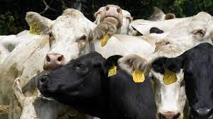 Photo of पीएम मोदी से सीएम पुष्कर सिंह धामी ने नई दिल्ली में की मुलाकात..