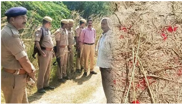 Photo of फतेहपुर: तांत्रिक की हत्या, चेले पर गहराया शक; जानिये पूरी कहानी