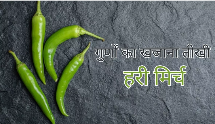 Photo of जानिये तीखी हरी मिर्च खाने के फायदे ?