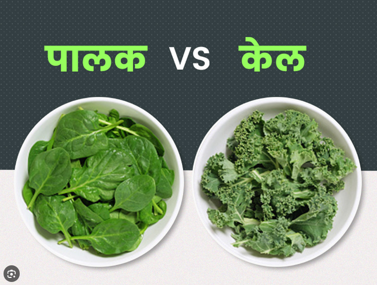 Photo of जानिए पालक और केल फायदेमंद खाने से शरीर में क्या फायदे देता है