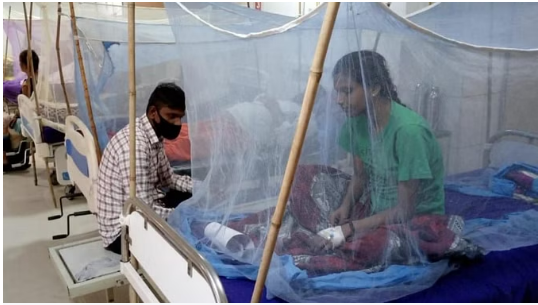 Photo of लखनऊ में डेंगू के मिले मरीज ,अस्पतालों में प्लेटलेट्स की मांग बढ़ी