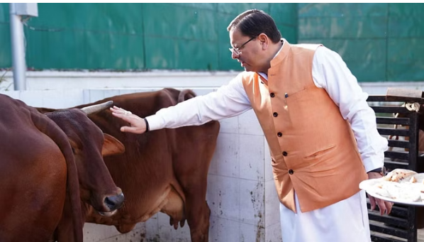 Photo of गोवर्धन पूजा: सीएम धामी ने किया गायों का पूजन,पढ़े पूरी ख़बर