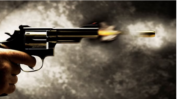 Photo of दिल्ली : बीमारी और आर्थिक तंगी से परेशान बुजुर्ग ने खुद को मारी गोली, पढ़िये पूरा मामला