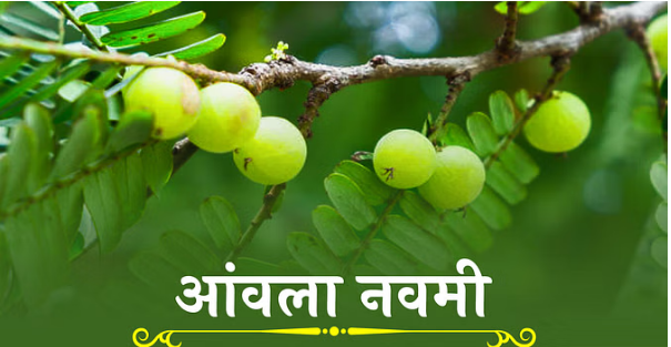 Photo of आंवला नवमी आज, जानिए आंवला वृक्ष के पूजन का महत्व