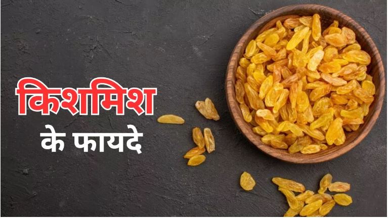Photo of किशमिश सेहत के गुणों का खजाना है,जाने किस के फायदे