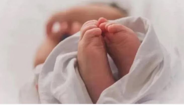 Photo of एक माह की नवजात का शव लोगो को कूड़े के ढेर में मिला,पुलिस को दी सूचना