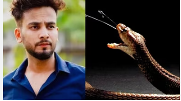 Photo of सांपों की डीलिंग में सामने आया व्यापारी का नाम,जाने…