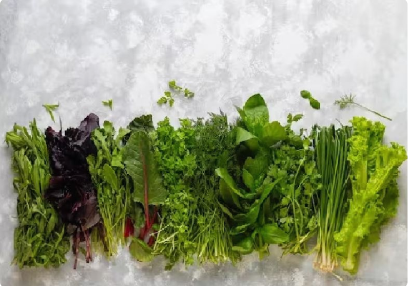 Photo of जाने सर्दियों में किन हरी पत्ते वाली सब्जियों को हर रोज सेवन करना चाहिए !