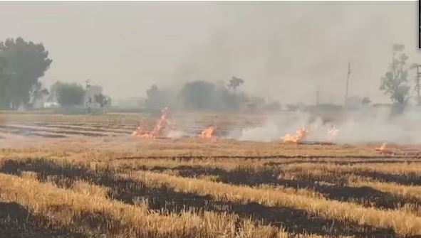 Photo of किसान के पराली को आग लगाने पर अधिकारी पहुंचे, तो डर के मारे फंदा लगाकर दे दी जान