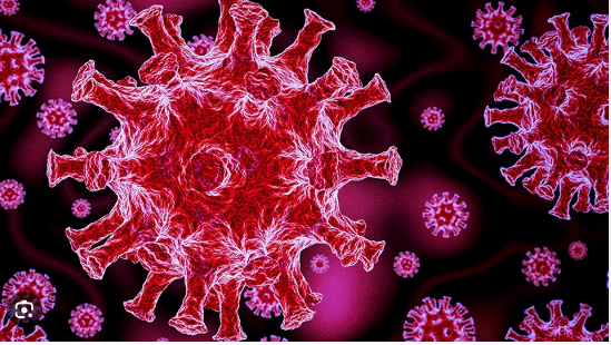 Photo of बढ़ रहा कोरोना का कहर,जाने किन -किन राज्य में सबसे ज्यादा अधिक मरीज?