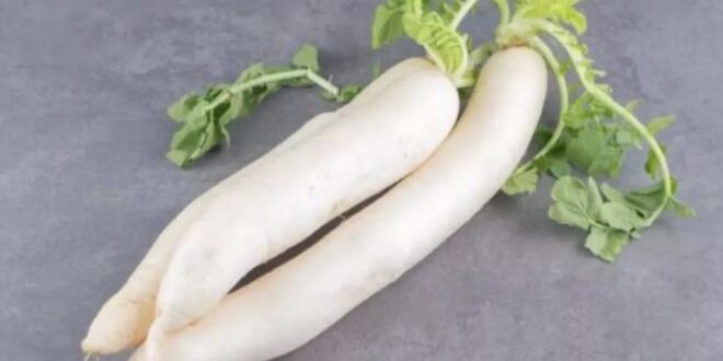 Photo of लिवर के लिए किसी दवा से कम नहीं है मूली