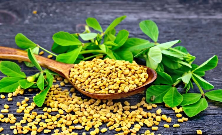 Photo of सर्दियों में मेथी दाना खाने के हैं गजब फायदे!