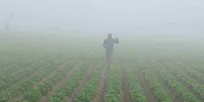 Photo of पंजाब : कड़ाके की ठंड से नए साल का स्वागत